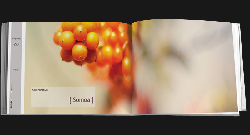 Color Book for artists and designers Vol. E s1