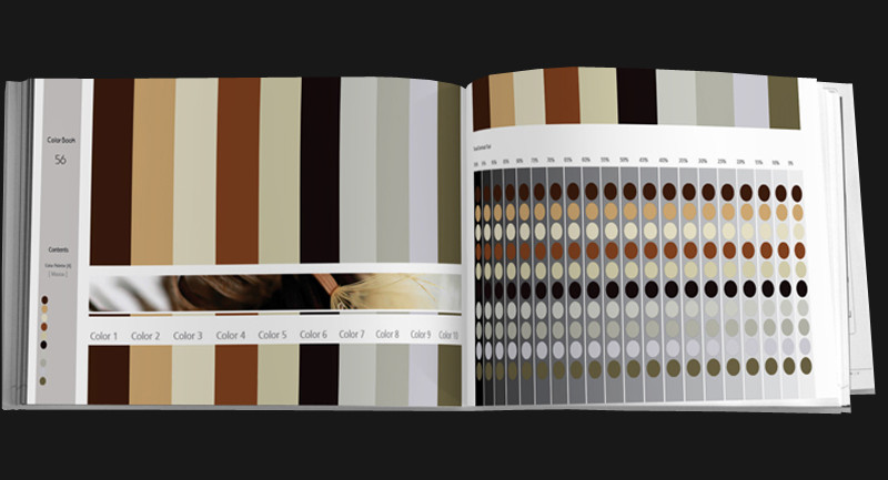 Color Book for artists and designers vol. F s2