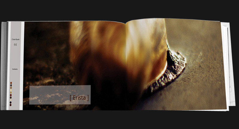 Color Book for artists and designers vol. H s1