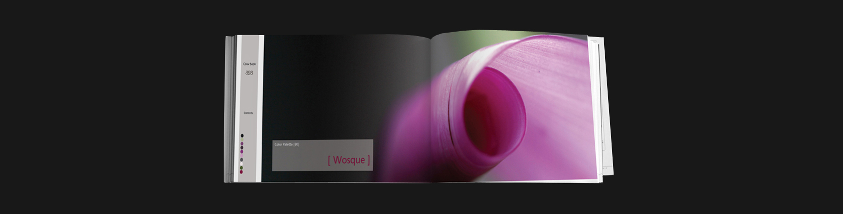Color Book for artists and designers Pack A-F s1