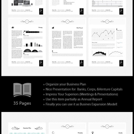 35 Pages Business Plan Template Preview Image 590x
