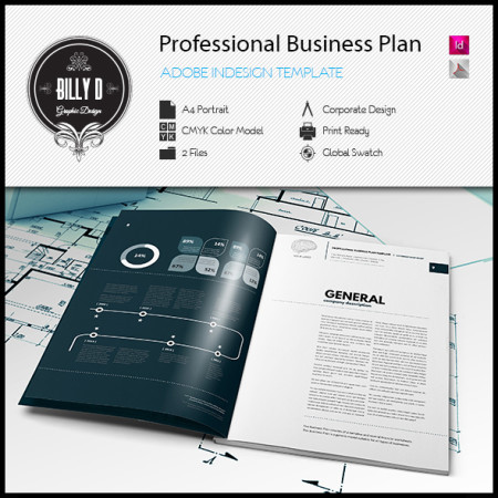 Professional Business Plan Template kfea