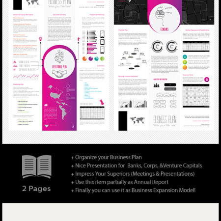Business Plan Resume Template Preview Image 590x