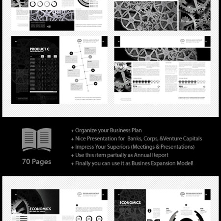 Professional Digital Business Plan Template Preview Image 590x