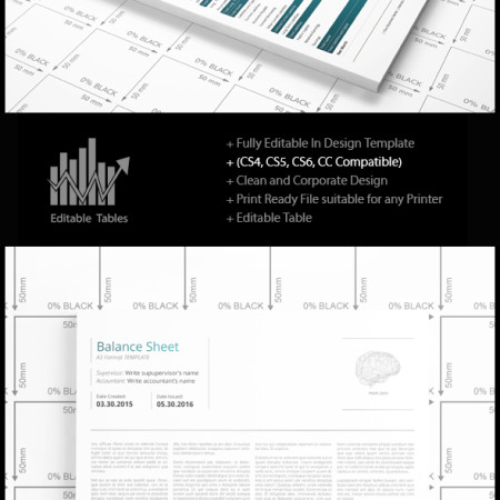 Balance Sheet A3 Template - Preview Image 590x