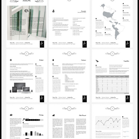 e-Business Plan Vintage Template Preview Image 590x