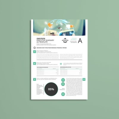 Sigma Executive Summary A4 Template