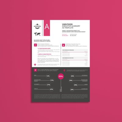 Varutikon Executive Summary A4 Template